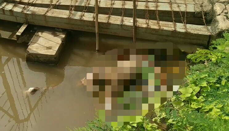 Mayat Perempuan Muda Berbaju Batik Ditemukan Mengapung di Kali Ancol