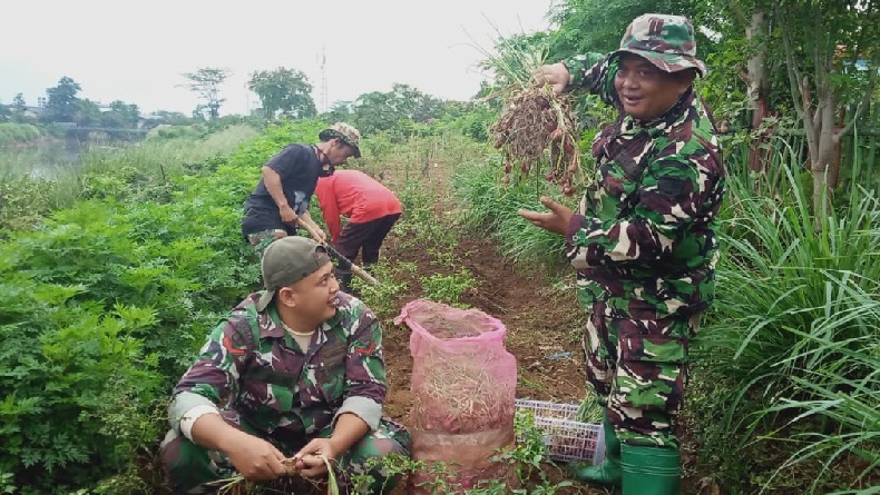Satgas Citarum Harum Sektor 7 dan Warga Panen Bawang Merah