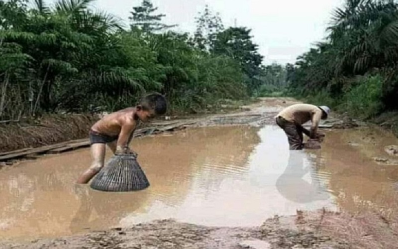 Warga Tangkap Ikan di Kubangan Jalan Viral, Lokasi Muratara Sumsel