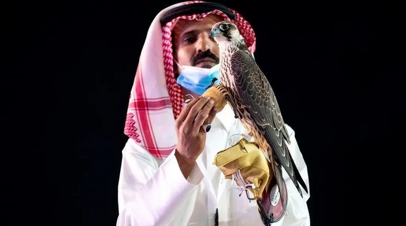 Arab Saudi Mulai Program Melepas Burung Elang ke Alam Liar