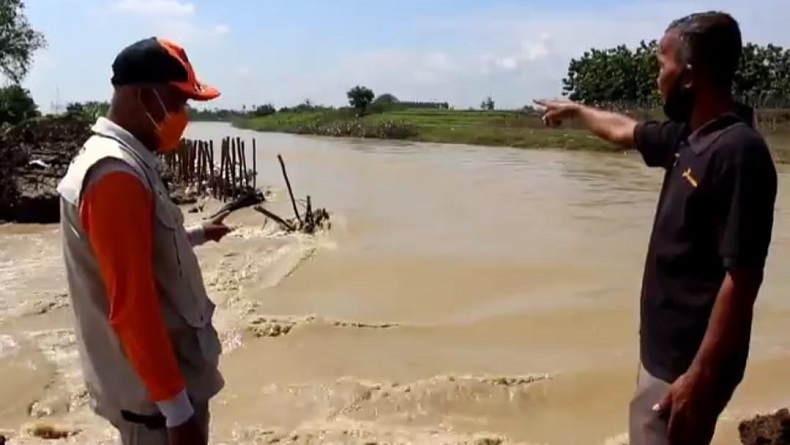 Tanggul Sungai Cipanas Indramayu Jebol, Banjir Rendam 5 Desa