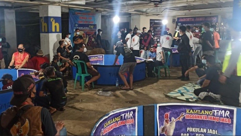 Kontes Sabung Ayam di Bogor Digerebek Petugas, Penanggung Jawab Acara Didenda Rp5 Juta