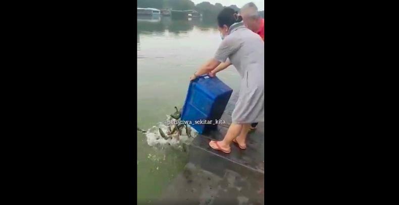 Viral Video Warga Lepas Ribuan Ikan di Danau Sunter, Netizen: Tradisi Imlek