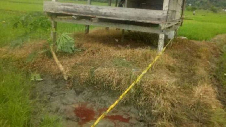 Istri Tewas Dibacok Suami, Motif Pelaku karena Cemburu dengan Mantan Korban