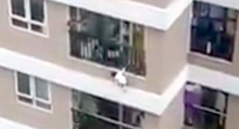 Viral, Bocah 2 Tahun Jatuh dari Lantai 12 Apartemen Selamat Setelah Ditangkap Sopir