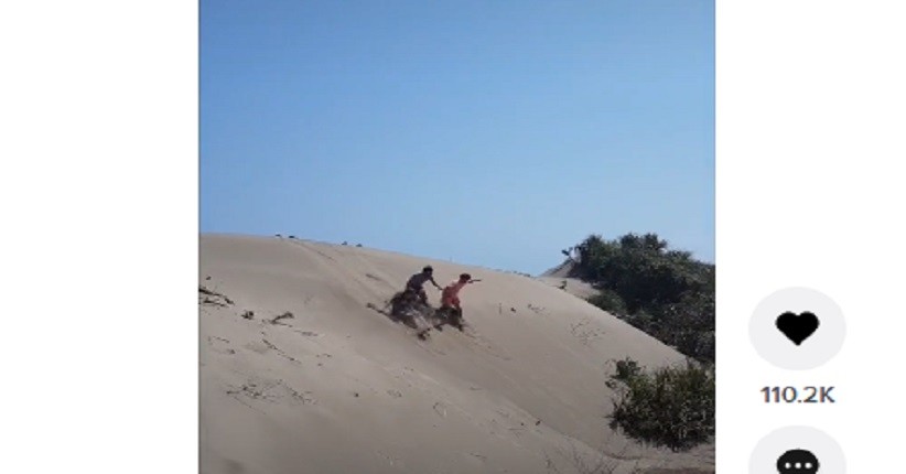 Menjelajahi Gurun Pasir Khas Ujung Karang Garut, Seru Bisa Berselancar