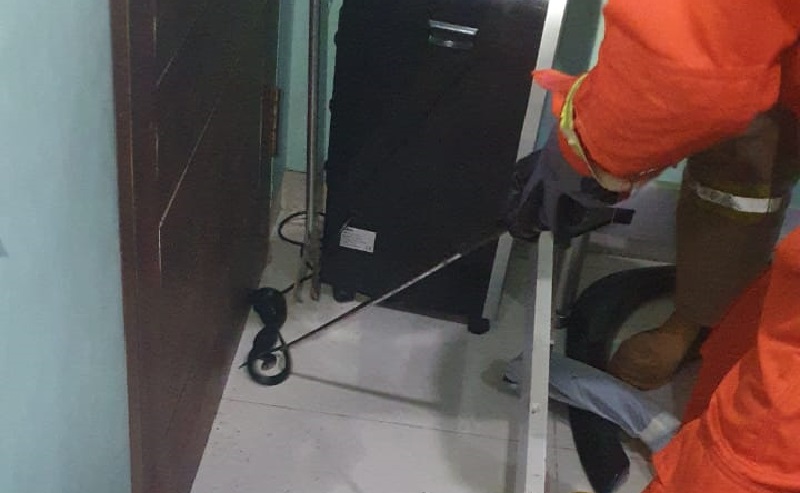 Evakuasi Kobra 1,5 Meter dari Rumah di Cipayung, Petugas: Warga Harus Rajin Bersih-Bersih