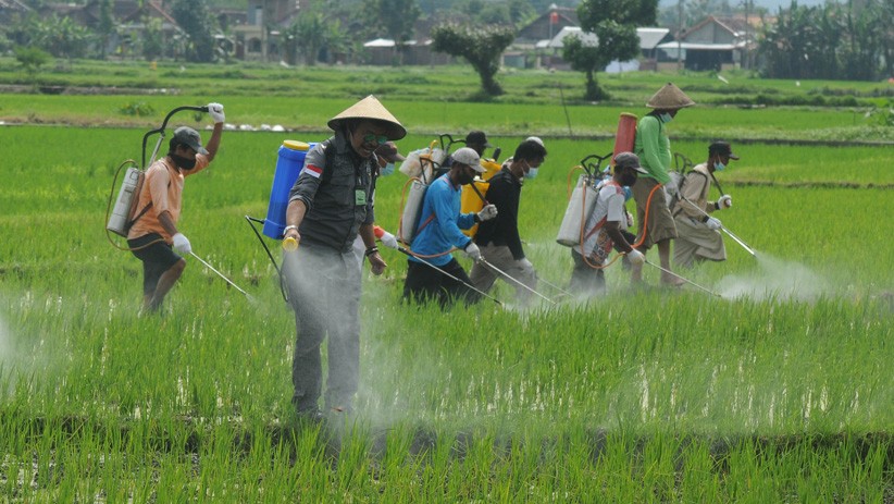 Guru Besar Unnes: Kementan Perlu Petakan Kebutuhan Pokok Input Produksi Pertanian