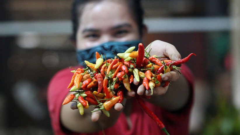 Harga Mahal, Masyarakat Diminta Awetkan dan Tanam Cabai