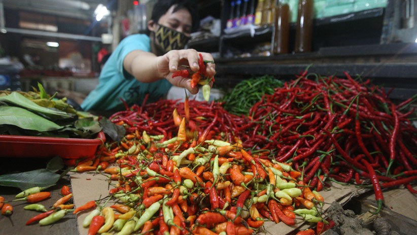Merespons Harga Cabai yang Tinggi, Kementan Tolak Langkah Impor