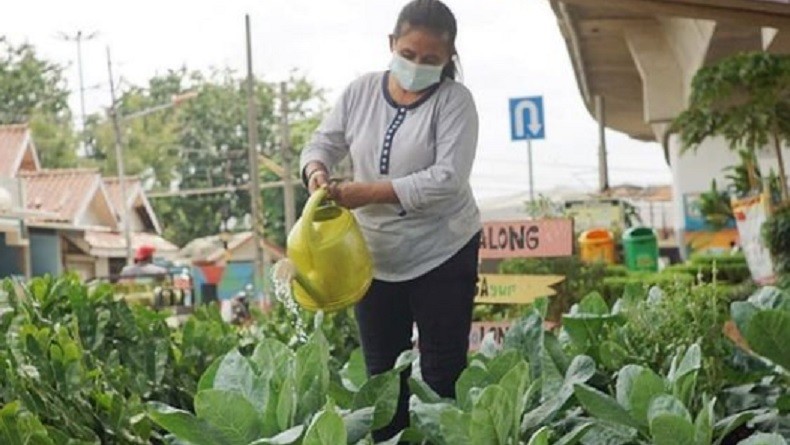 Warga Sulap Kolong Flyover Cipinang Jadi Kebun Sayur dan Kolam Ikan, Terlihat Hijau dan Asri