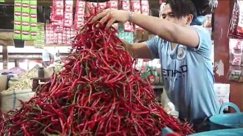 Tolak Impor Cabai, Ini Strategi Kementan Turunkan Harga