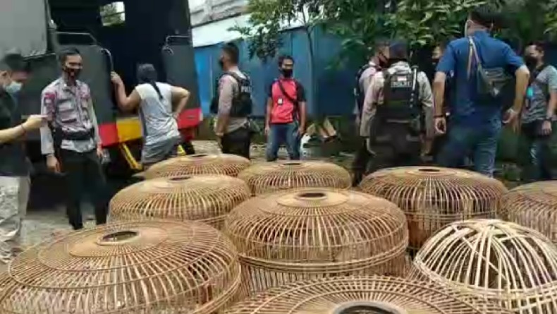 Polisi Gerebek Tempat Judi Sabung Ayam dan Adu Kemiri, 25 Pria di Tasikmalaya Ditangkap