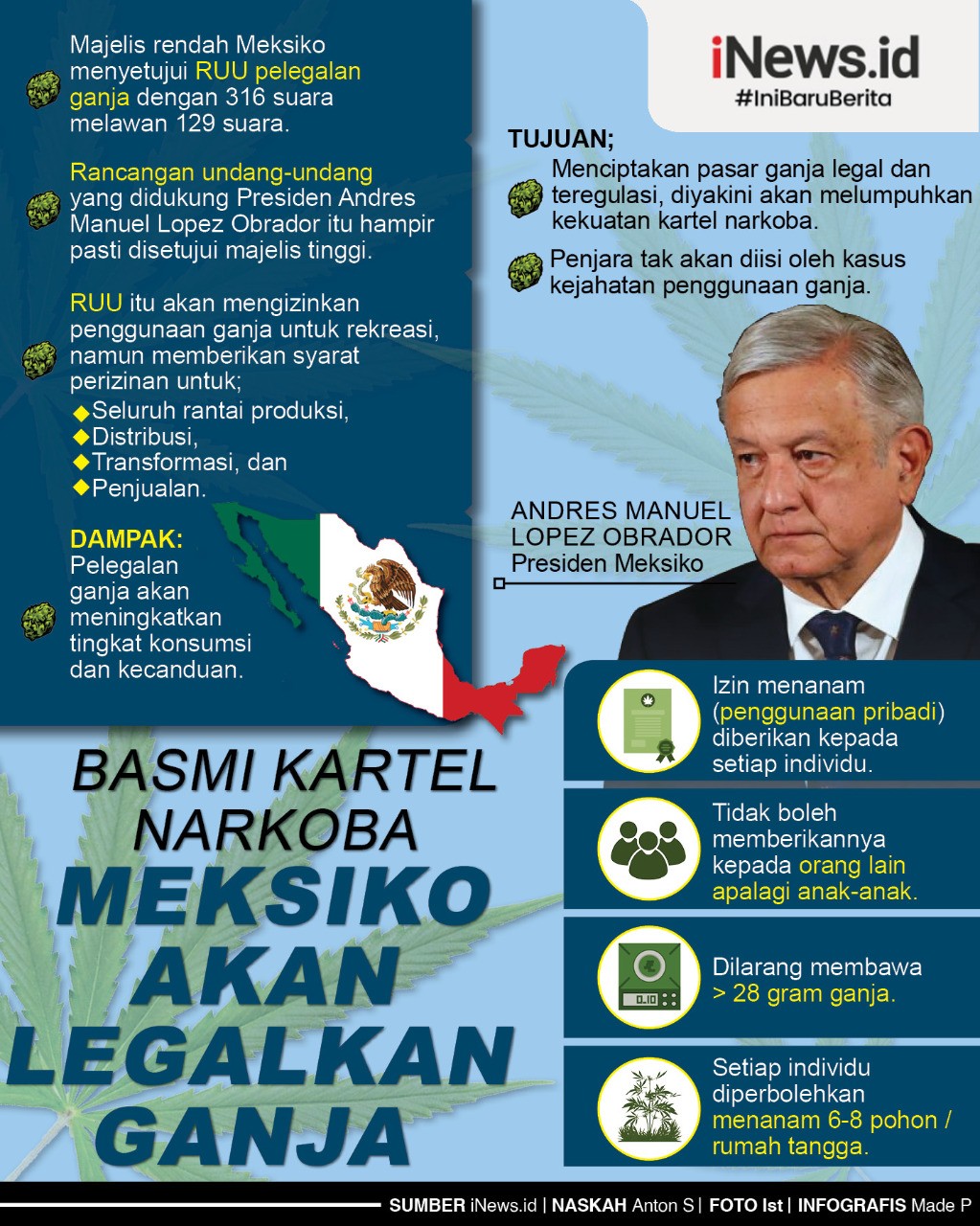 Infografis Meksiko Bakal Legalkan Ganja