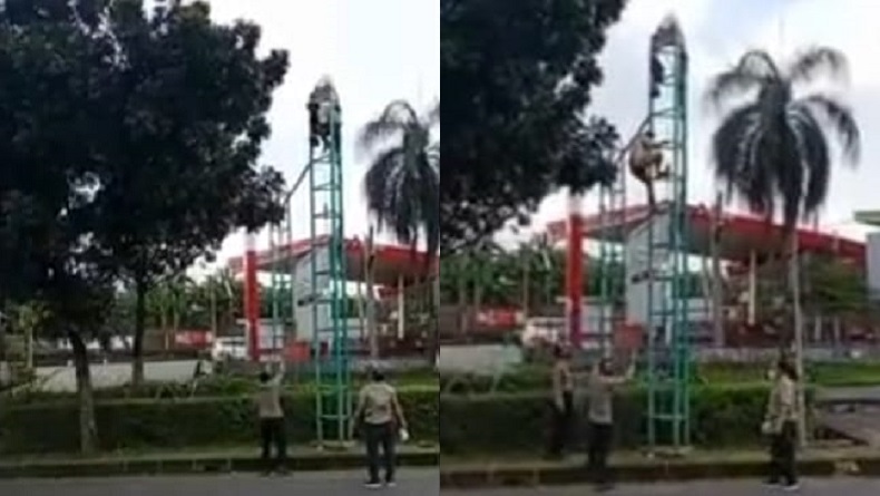 Depresi, Pria Paruh Baya di Tangsel Nekat Bertahan 2 Hari di Tiang Reklame