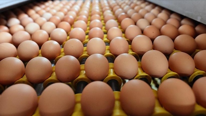  Produksi Surplus Hingga 200.000 Ton, Ini Penyebab Harga Telur Anjlok