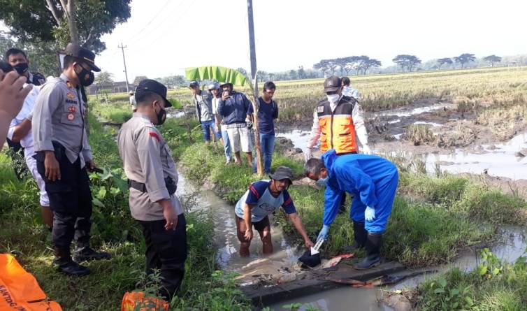 Dikira Bau Bangkai Ayam, Ternyata Mayat Bayi Dibuang di Saluran Air 