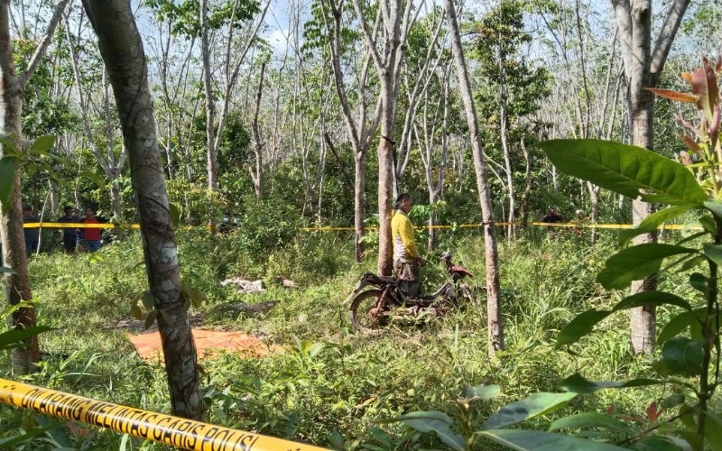Petani di Prabumulih Tewas Tergantung di Pohon Karet