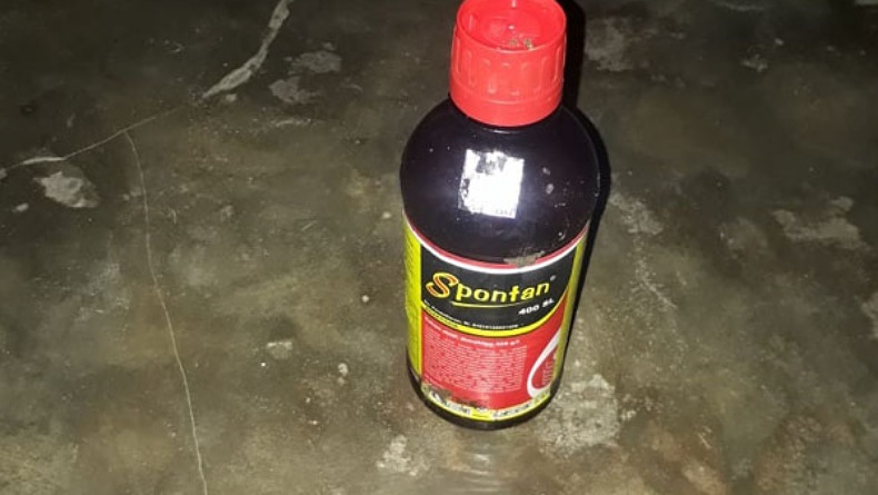Pria di Talaud Nekat Tenggak Racun Serangga, Diduga karena Masalah Rumah Tangga