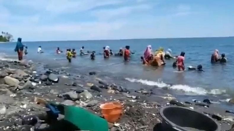 Penemuan Material Emas di Pantai Pohon Batu Bikin Geger Warga Maluku Tengah
