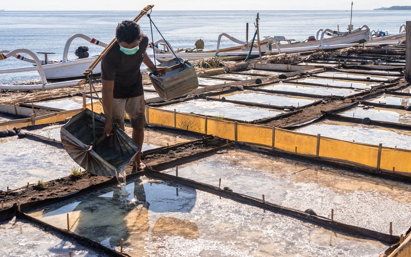 Segmen Mikro Kian Tangguh, BRI Optimis Pelaku Usaha Kembali Ekspansi