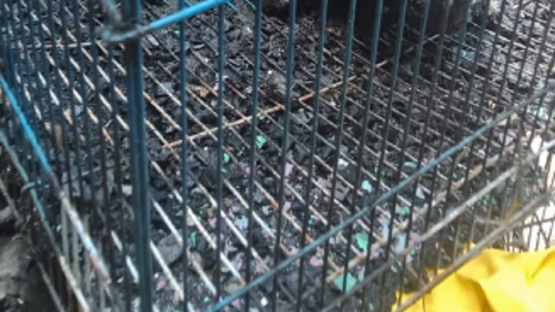 Kebakaran di Matraman, Tragis Kucing Hangus Terjebak di Dalam Kandang