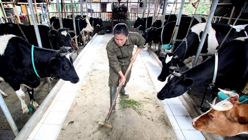 Berencana IPO, Produsen Susu Cimory Bidik Dana Rp4,2 Triliun