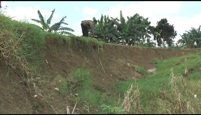 Tanggul Sungai Jragung Longsor, Banjir Ancam Wilayah Demak dan Grobogan
