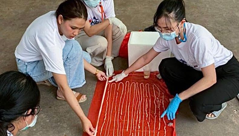 Hiii, Cacing Pita 17 Meter Dikeluarkan dari Tubuh Pria Ini Setelah Ngeluh Sakit Perut