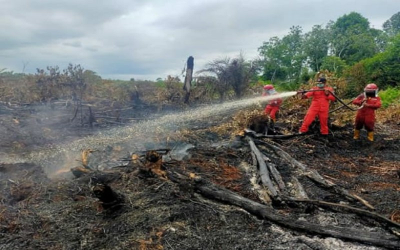Jelang Kemarau, Sumsel Optimalkan Satgas Pencegahan Karhutla 