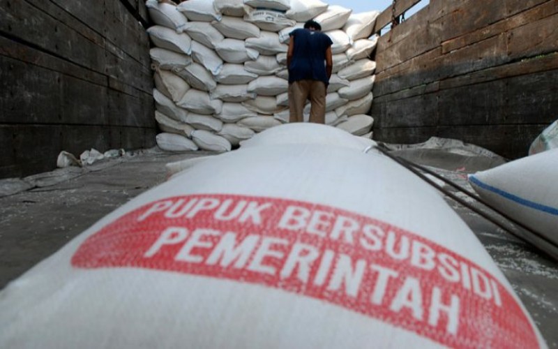 Edukasi ke Petani, Pupuk Indonesia Sosialisasi Pemupukan Presisi