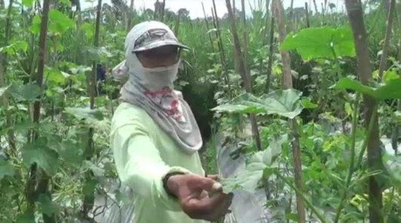 Merapi Luncurkan Awan Panas Guguran, 9 Desa di Magelang Hujan Abu Tipis 