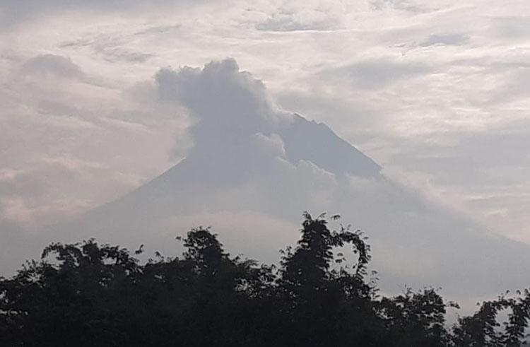 Pagi Ini Merapi Semburkan Wedus Gembel dan 19 Kali Lava Pijar Sejauh 1,5 Km
