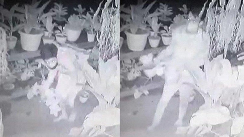 Pencurian Puluhan Tanaman Hias di Kranggan Terekam CCTV, Pemilik Rugi Rp5 Juta 