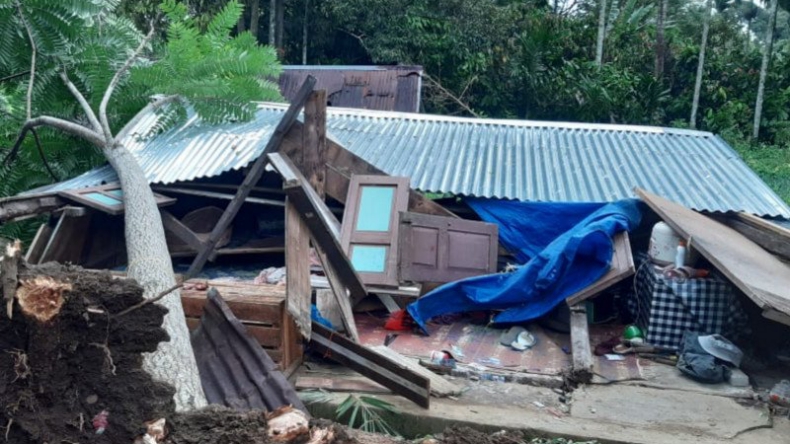 Diterjang Hujan Deras Disertai Angin Kencang, 14 Rumah di Tangerang Rusak Tertimpa Pohon