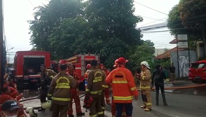 Kisah Heroik Kucing Selamatkan Penghuni Apartemen Taman Sari saat Kebakaran