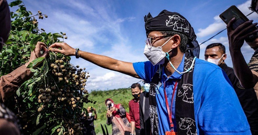 Sandiaga Uno Menjelajahi Kampung Agrinex Banten, Destinasi Baru Perkebunan