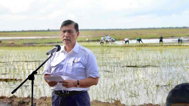 Kunjungi Food Estate Kalteng, Menko Luhut: Ini Tingkatkan Ekonomi Masyarakat