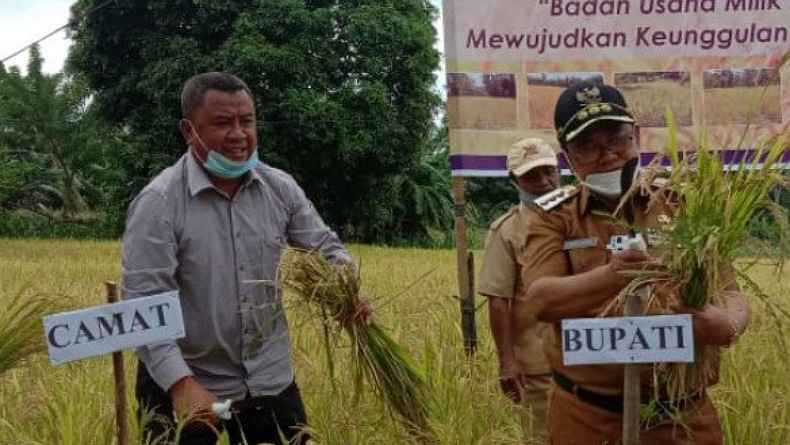Gorontalo Utara Pastikan Surplus Beras 62.584 Ton