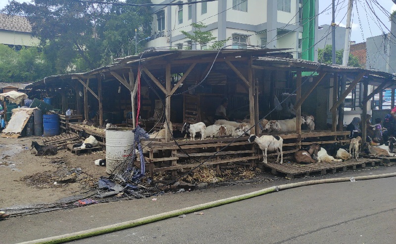 Kebakaran Usai, Sebagian Pedagang Pasar Kambing Tanah Abang Kembali Berjualan