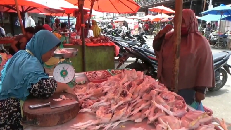 Harga Daging Ayam Broiler Naik, Pedagang di Medan Mengeluh
