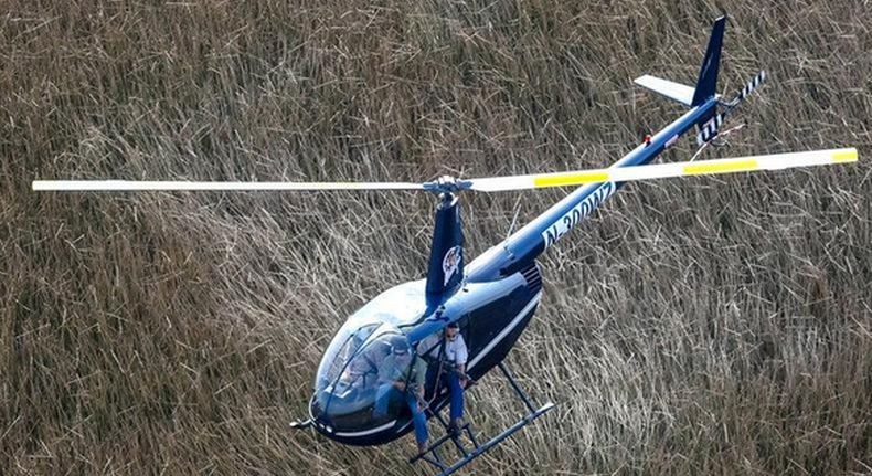 5 Fakta Pemusnahan Kuda Liar Ditembak dari Udara, Hanya Dilakukan Pemburu Berpengalaman