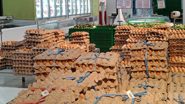 Jelang Ramadan, Stok Telur Ayam Ras di Gorontalo Utara Menipis