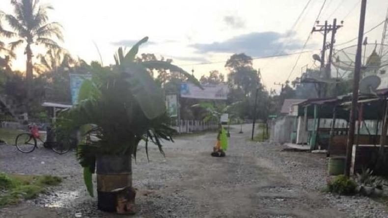Aksi Kecewa Warga Nagan Raya Tanam Pohon di Jalan Rusak, Ini Kata Kepala PUPR