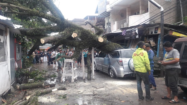 Angin Kencang Landa Jabar, Pohon Bertumbangan Timpa Mobil dan Rumah