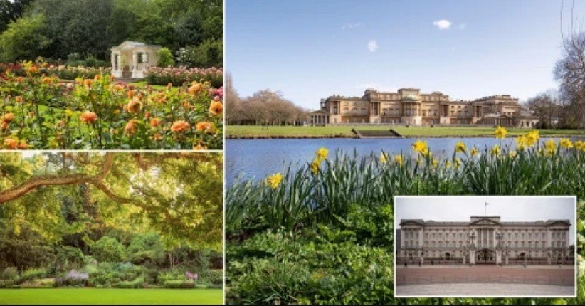 Wisata Taman Bersejarah di Istana Buckingham, Ini Pemandangannya