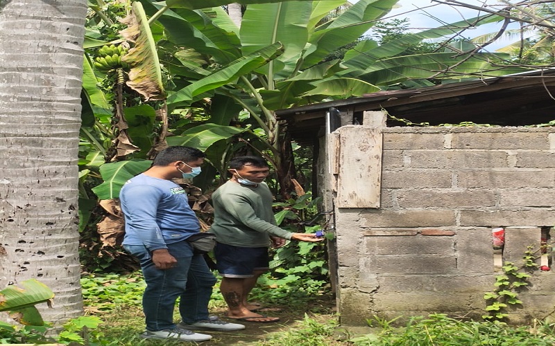 Jelang Perayaan Galungan, Warga Buleleng Bali Kehilangan 10 Ekor Babi