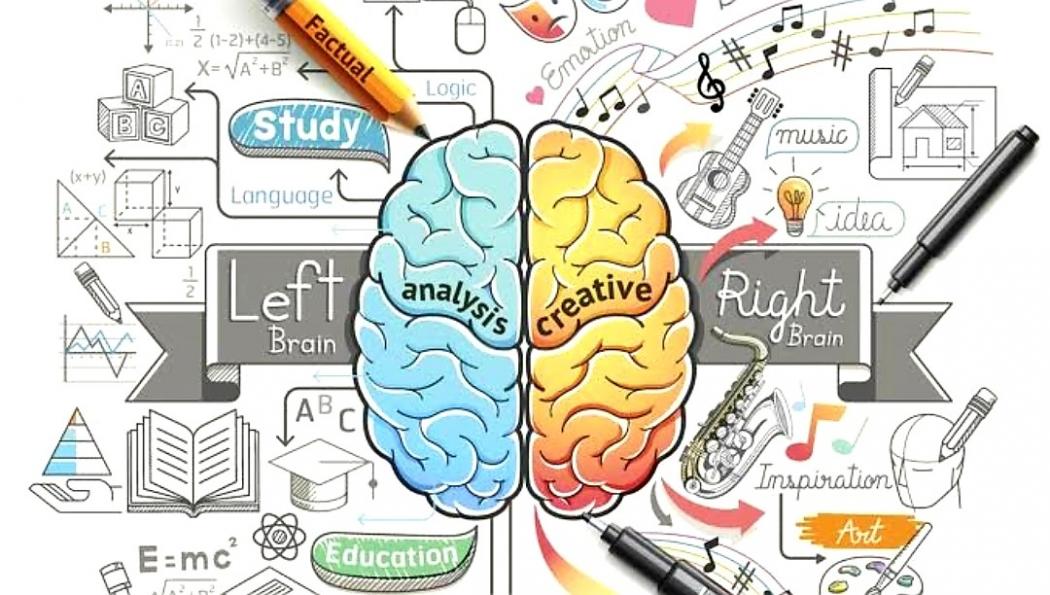 Perbedaan Fungsi Otak Kiri dan Kanan 