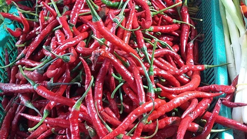 Harga Cabai Rawit di Sangihe Mulai Turun Jadi Rp80.000 per Kg