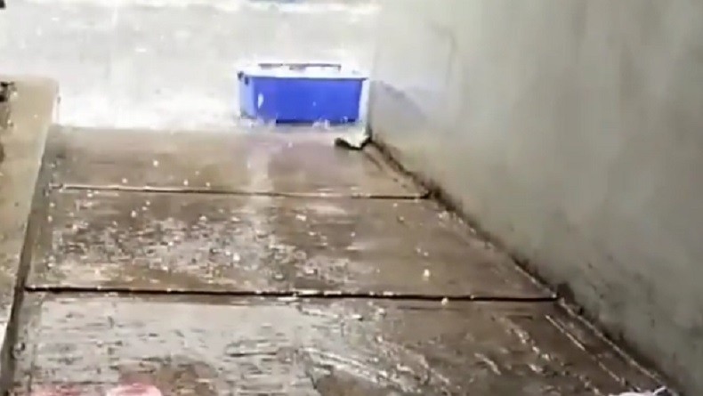 Bekasi Dilanda Hujan Es dan Angin Kencang, Pohon Bertumbangan